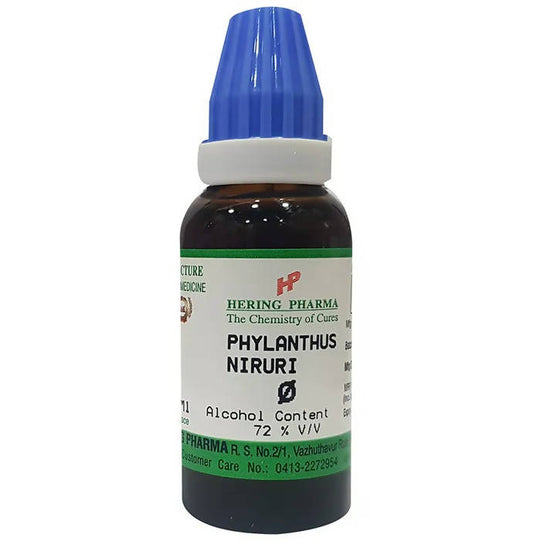 Hering Pharma Phylanthus Niruri Mother Tincture Q