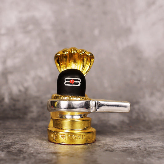 Sri Rudra Shiva Lingam (SR 00234) - Swadesiicart