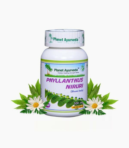 Planet Ayurveda Phyllanthus Niruri Capsules - Planet Ayurveda