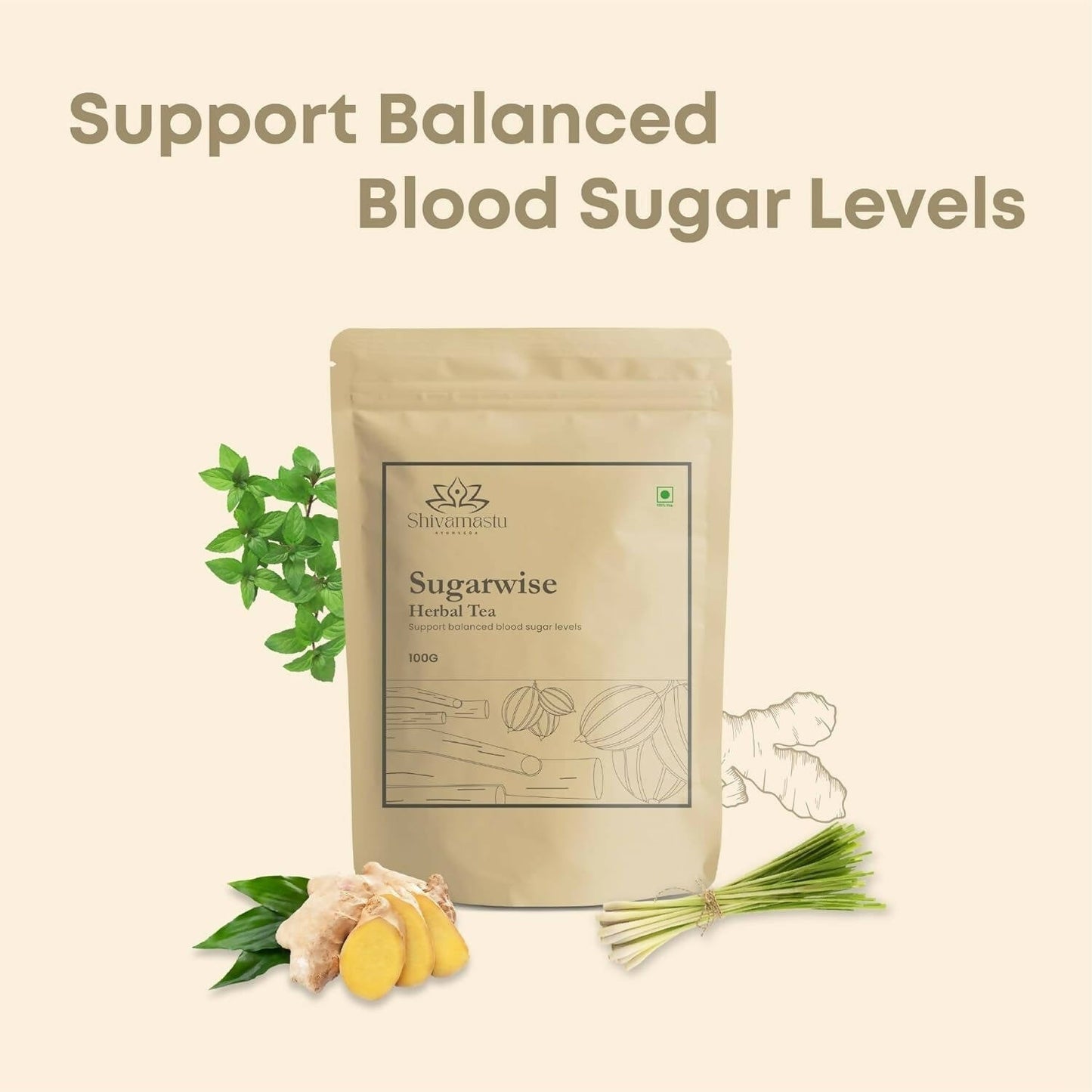 Shivamastu Ayurveda Sugarwise Herbal Tea - Limited Time Offer - Swadesiicart
