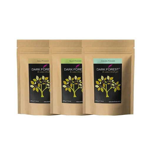 Dark Forest Rasayan Churna (Giloy,Gokhru,Amla) - 600g | Swadesiicart