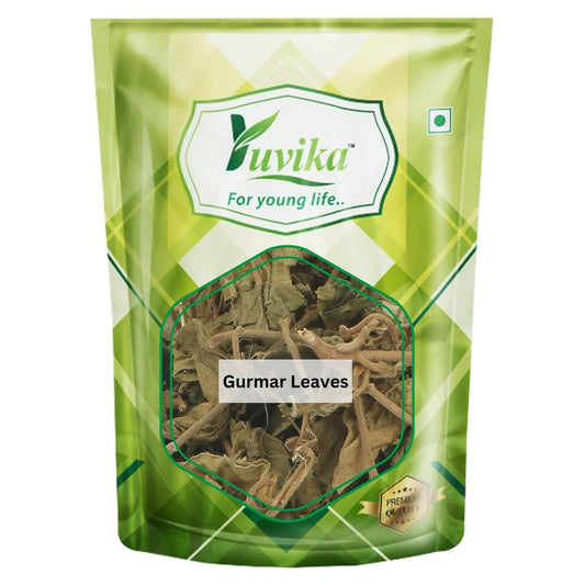 Yuvika Gurmar Leaves - Gudmar Leaves - Gymnema Sylvestre - Periploca Of The Woods | Swadesiicart