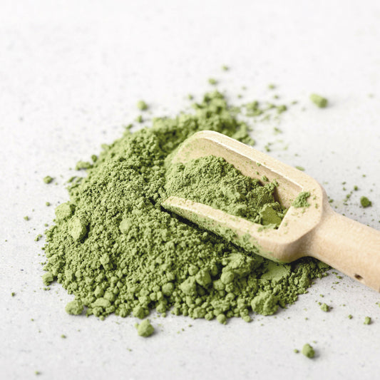 Wheat grassLeaves Powder 02