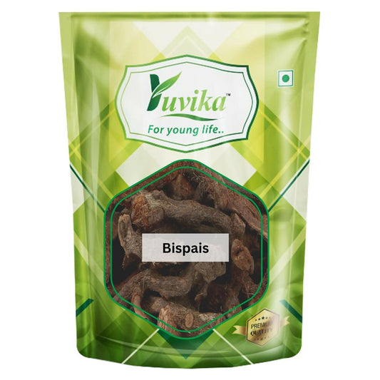 Yuvika Bispais - Bisfais - Polypodium Vulgare - Wall Fern | Swadesiicart