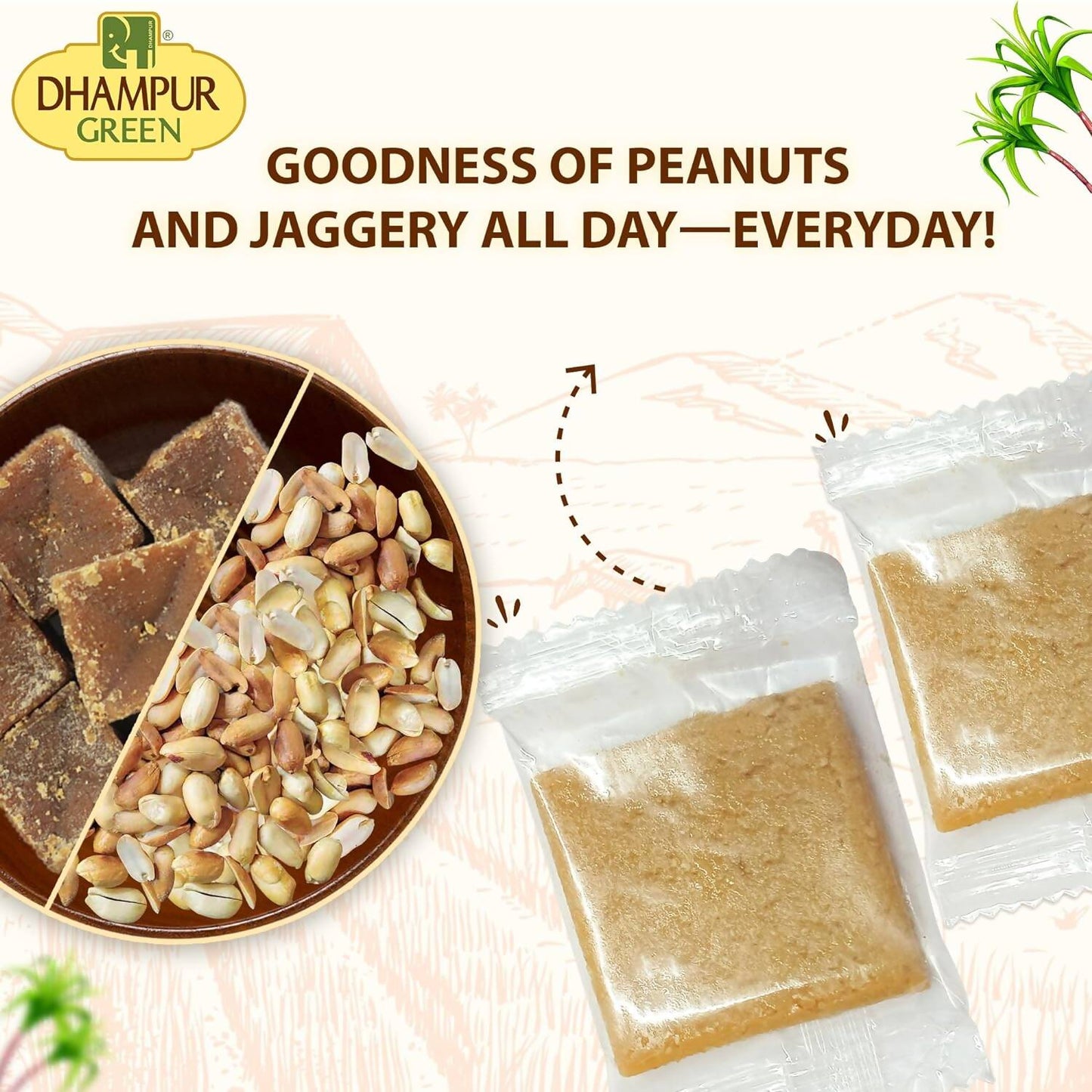 Dhampur Green Peanut Energy Bar | Swadesiicart