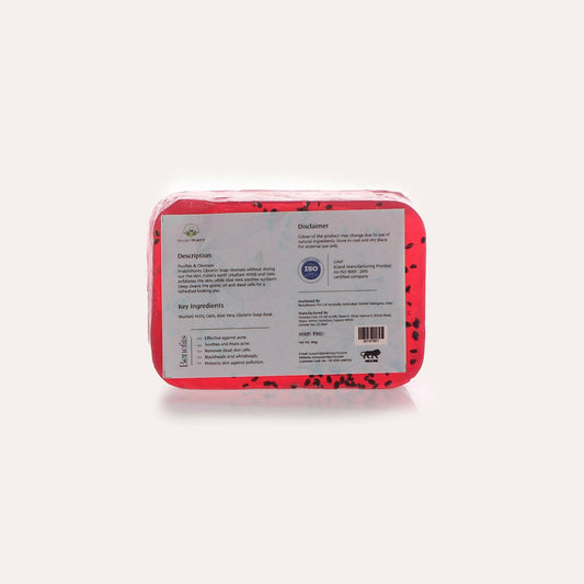 PrakritPurity Strawberry & Chia Seeds Handmade Glycerin Soap | Swadesiicart