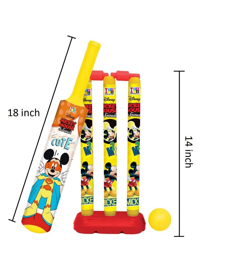 Manaki Enterprise Cricket Set For Kids - Swadesiicart