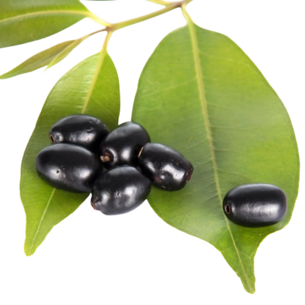 Nxtgen Ayurveda Jamun Seed Powder | Swadesiicart