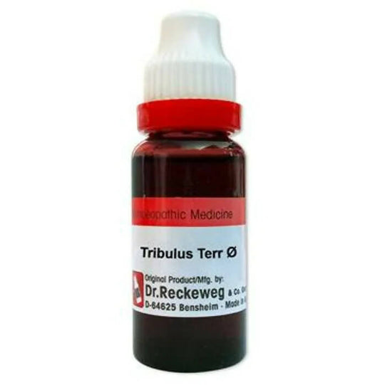 Dr. Reckeweg Gokshura Terr Mother Tincture Q | Swadesiicart