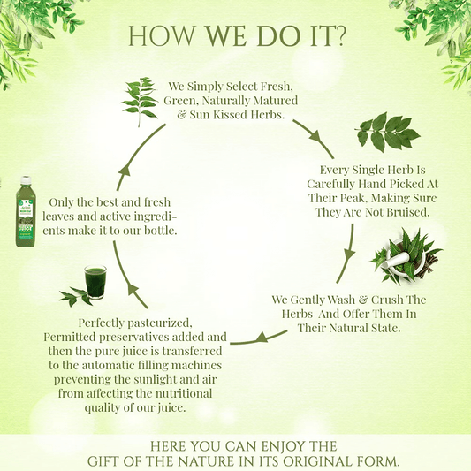 Axiom Neem Juice - Swadesiicart