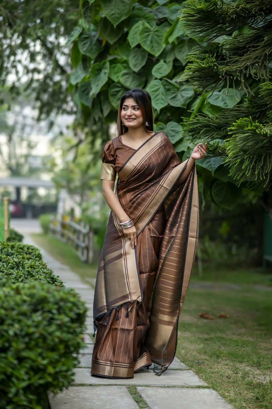 Vishnu Weaves Women's Coffee Raw Silk Saree with Blouse - Swadesiicart