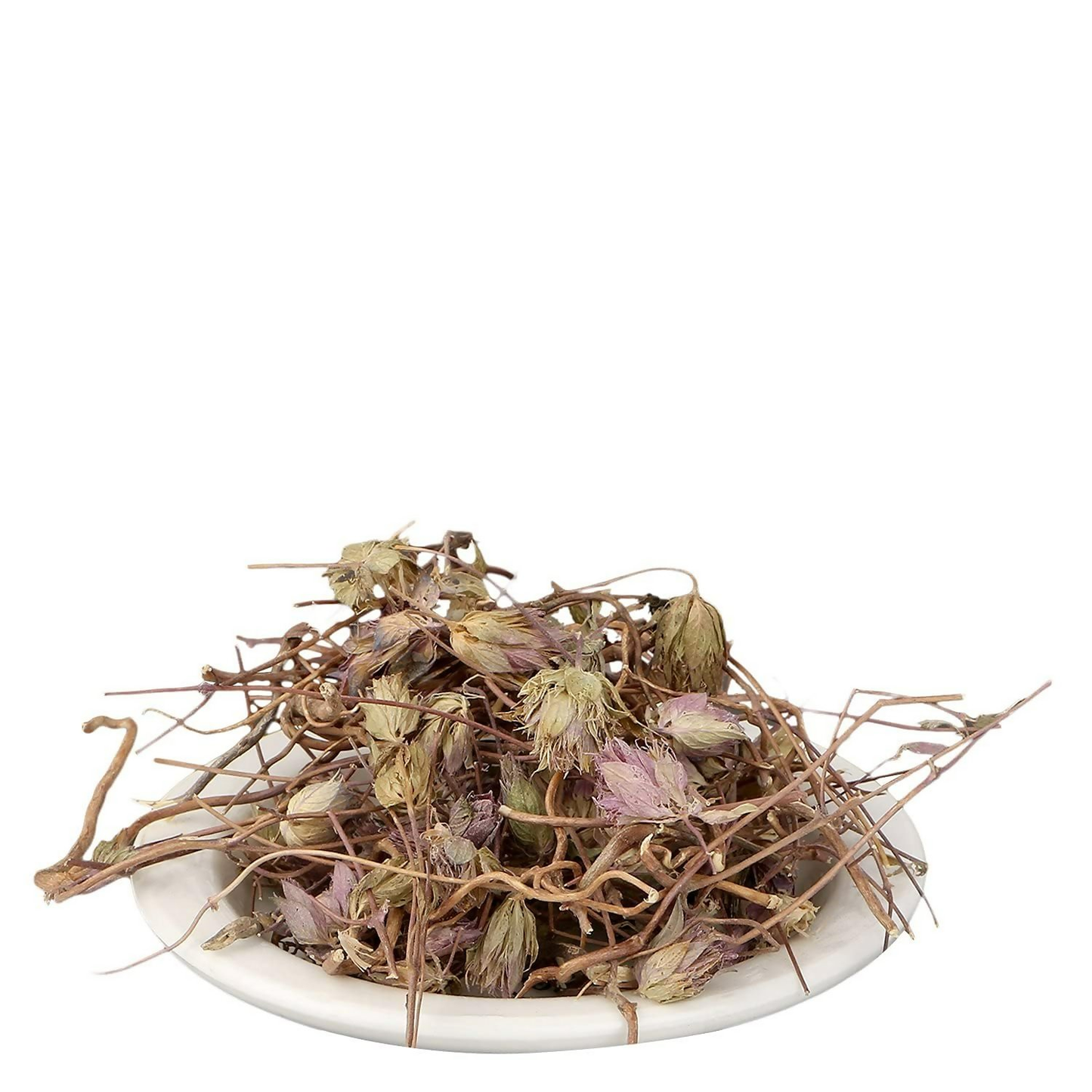 Yuvika Jufa - Zufa - Hyssopus Officinalis Linn - Hyssop - Issopo - Holy Herb | Swadesiicart