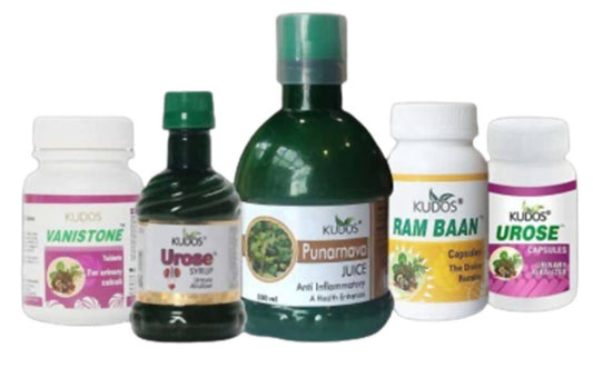 Kudos Ayurveda Kidney Care Kit | Swadesiicart