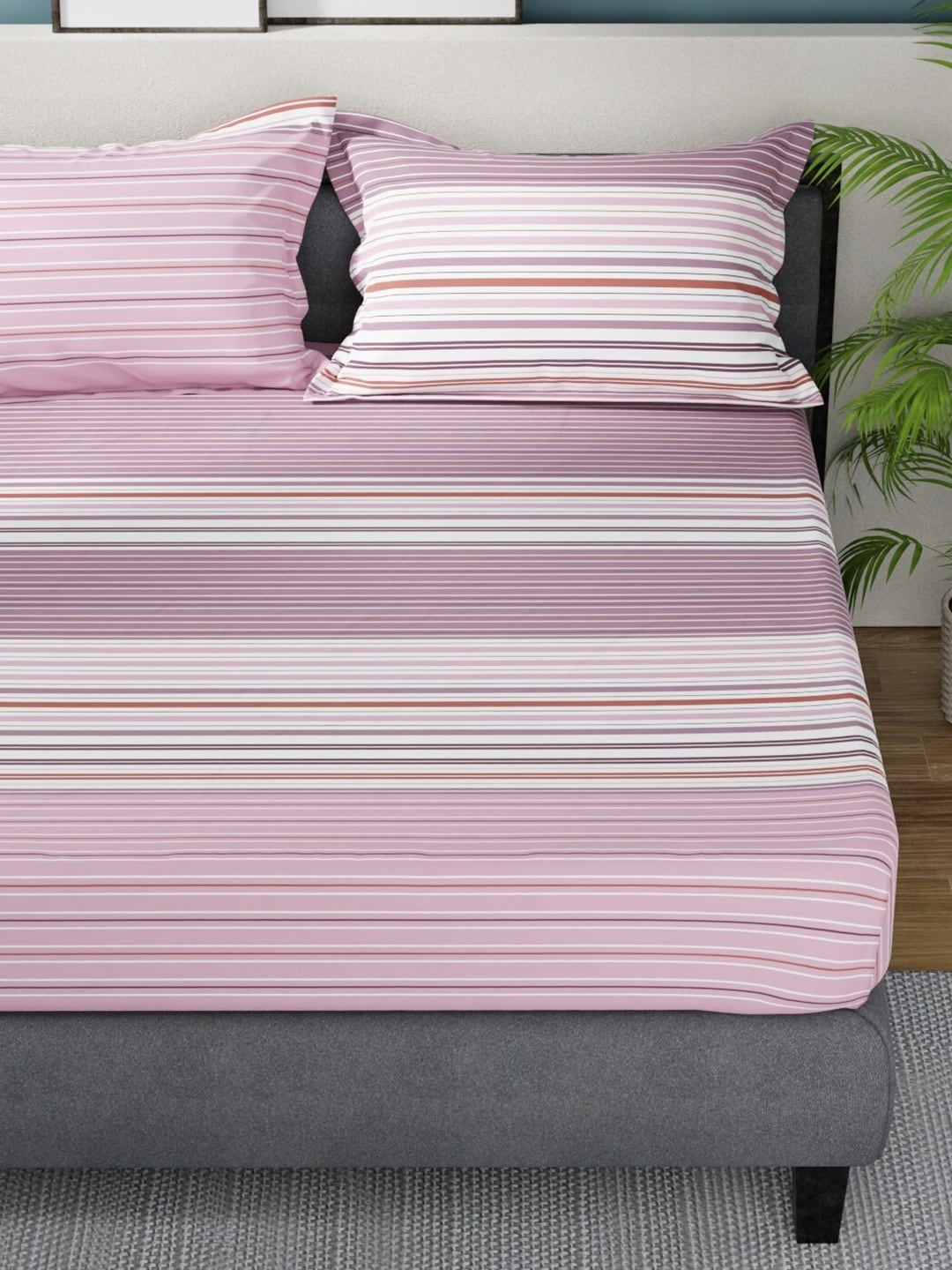Nautica Bradford Pink & White Striped Cotton 160 TC King Bedsheet with 2 Pillow Covers - Swadesiicart