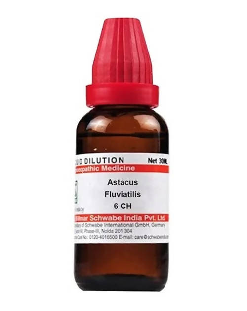 Dr. Willmar Schwabe India Astacus Fluviatilis Dilution | Swadesiicart
