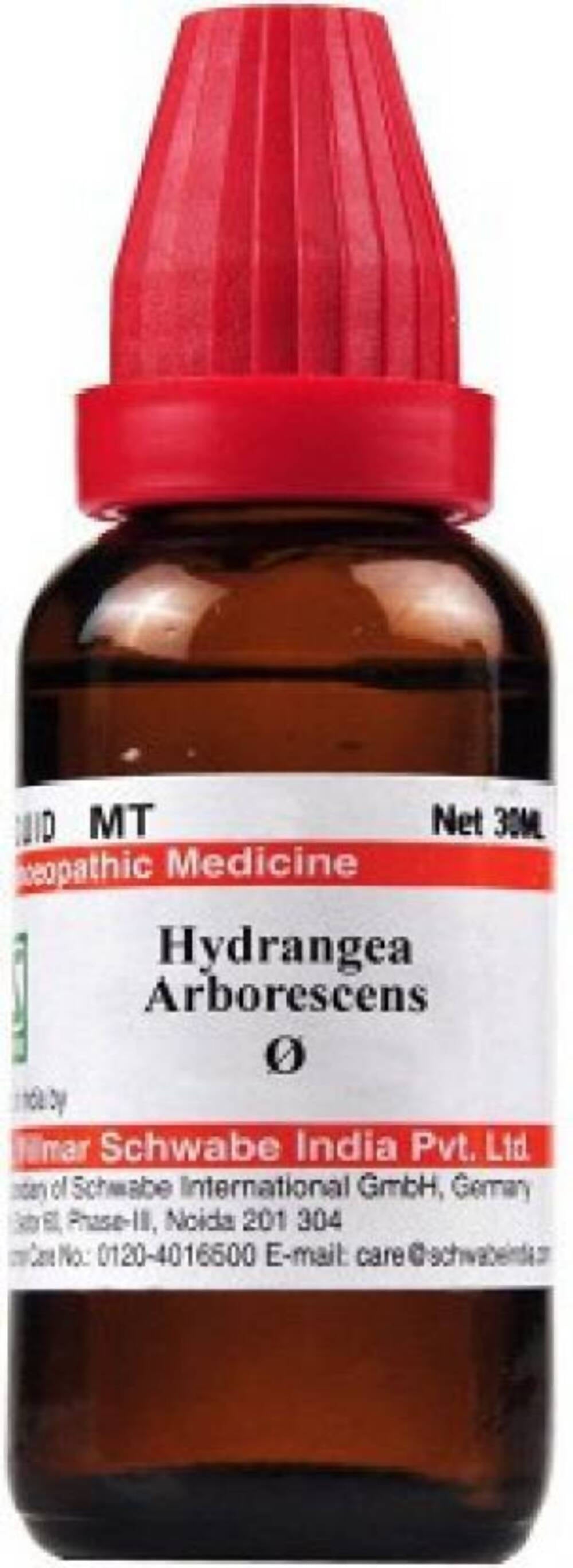 Dr. Willmar Schwabe India Hydrangea Arborescens Mother Tincture Q - Swadesiicart