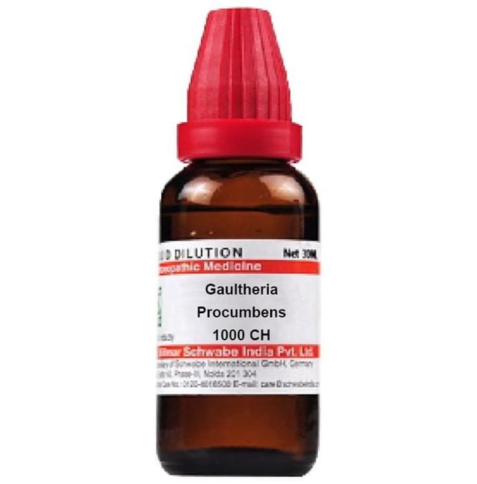 Dr. Willmar Schwabe India Gaultheria Procumbens Dilution - Swadesiicart