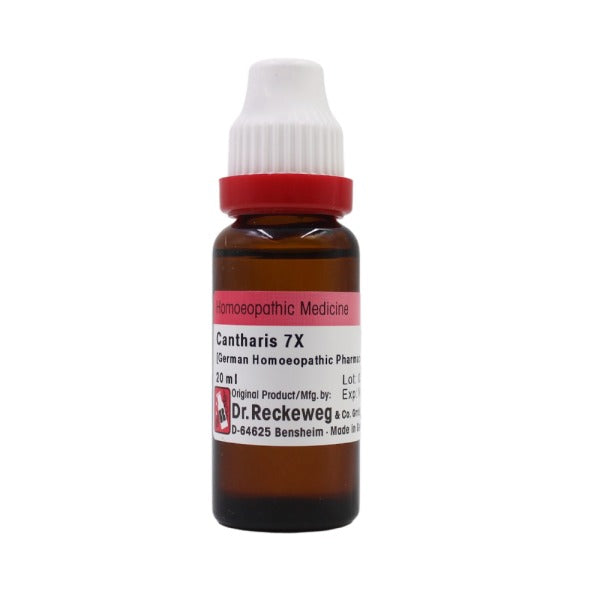 Dr. Reckeweg Cantharis Mother Tincture Q | Swadesiicart