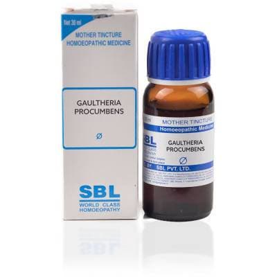 SBL Homeopathy Gaultheria Procumbens Mother Tincture Q | Swadesiicart