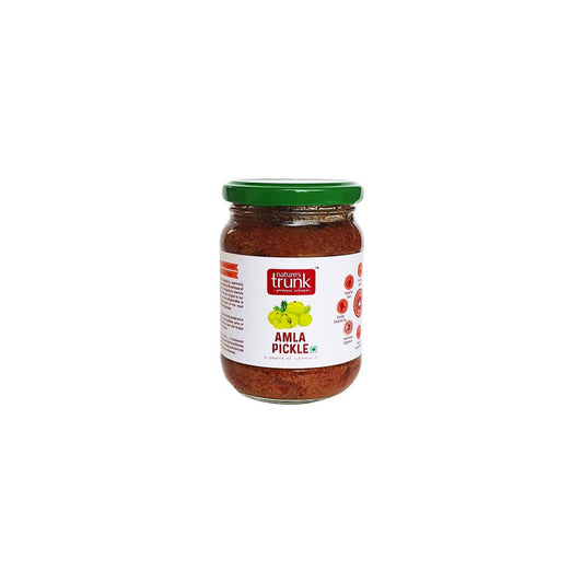Nature's Trunk Amla pickle