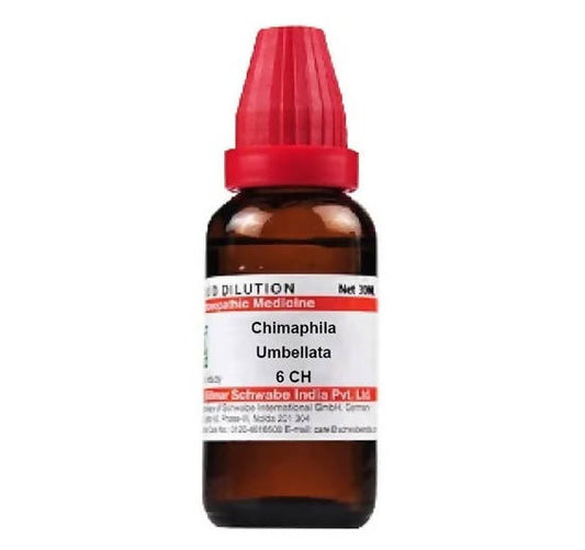 Dr. Willmar Schwabe India Chimaphila Umbellata Dilution | Swadesiicart