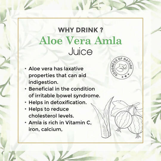 Four Seasons Aloevera Amla Juice | Swadesiicart