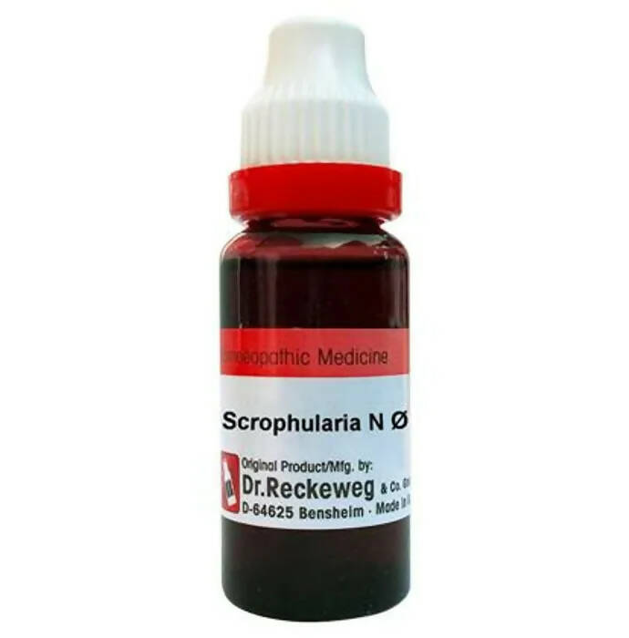 Dr. Reckeweg Scrophularia N Mother Tincture Q | Swadesiicart