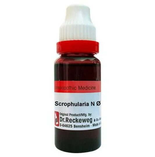 Dr. Reckeweg Scrophularia N Mother Tincture Q | Swadesiicart
