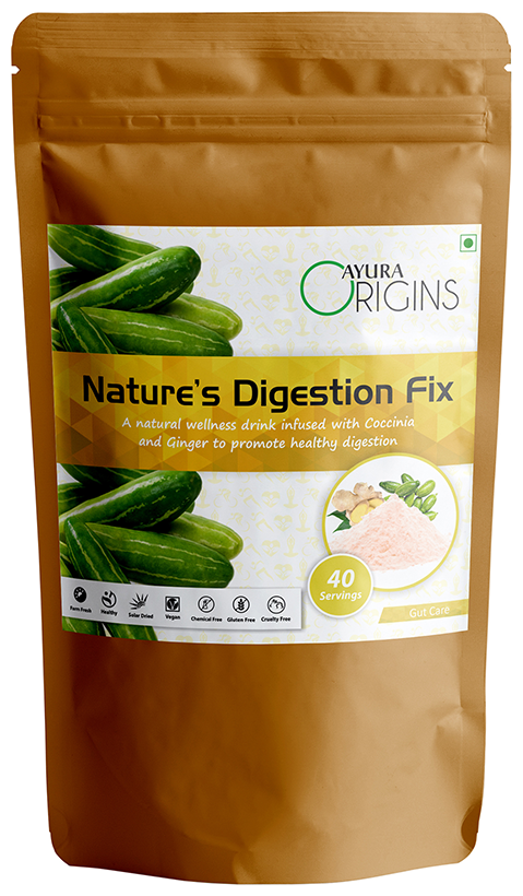 Ayura Origins Nature's Digestion Fix Powder - Swadesiicart