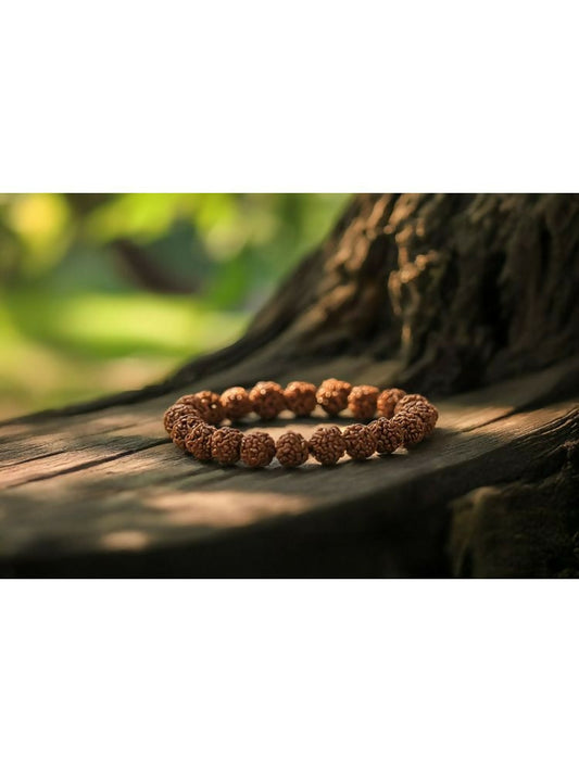 NVR 5 Mukhi Rudraksha Stretchable Bracelet