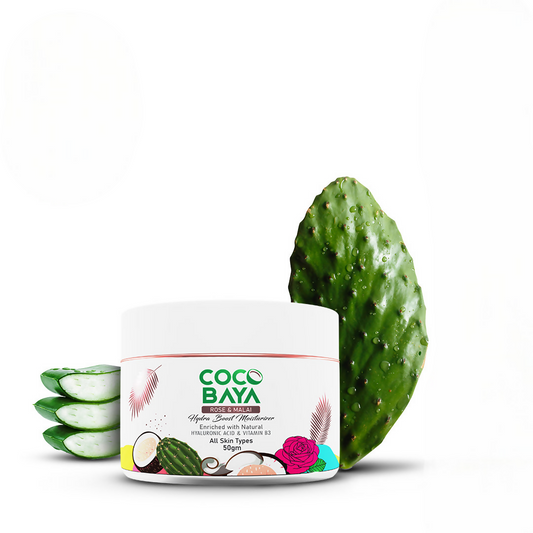 Cocobaya Rose & Malai Moisturizer - Shubhkart India