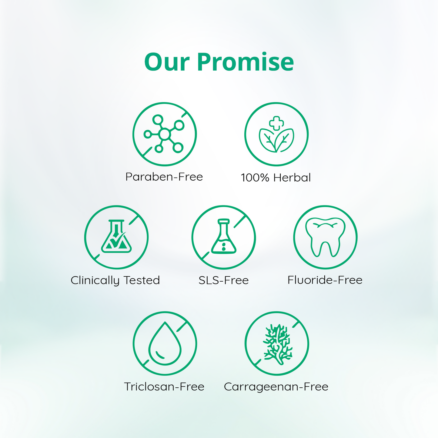 Mintdrops Herbal Toothpaste | Swadesiicart