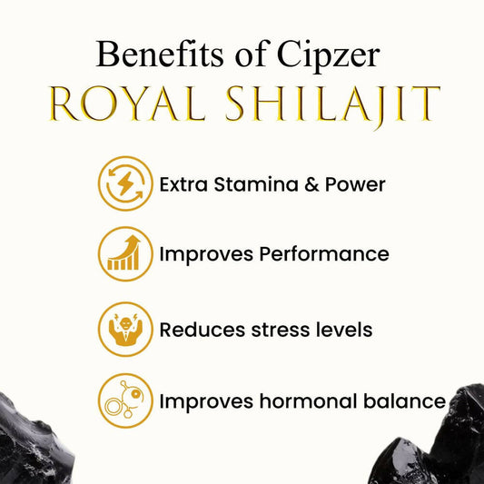 Cipzer Royal Black Gold SJ - Swadesiicart