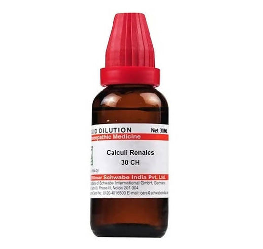 Dr. Willmar Schwabe India Calculi Renales Dilution | Swadesiicart