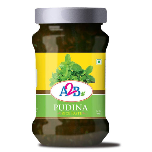 A2B - Adyar Ananda Bhavan Pudina Rice Paste - Swadesiicart