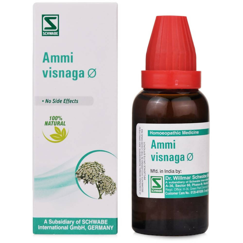 Dr. Willmar Schwabe India Ammi Visnaga Mother Tincture Q | Swadesiicart