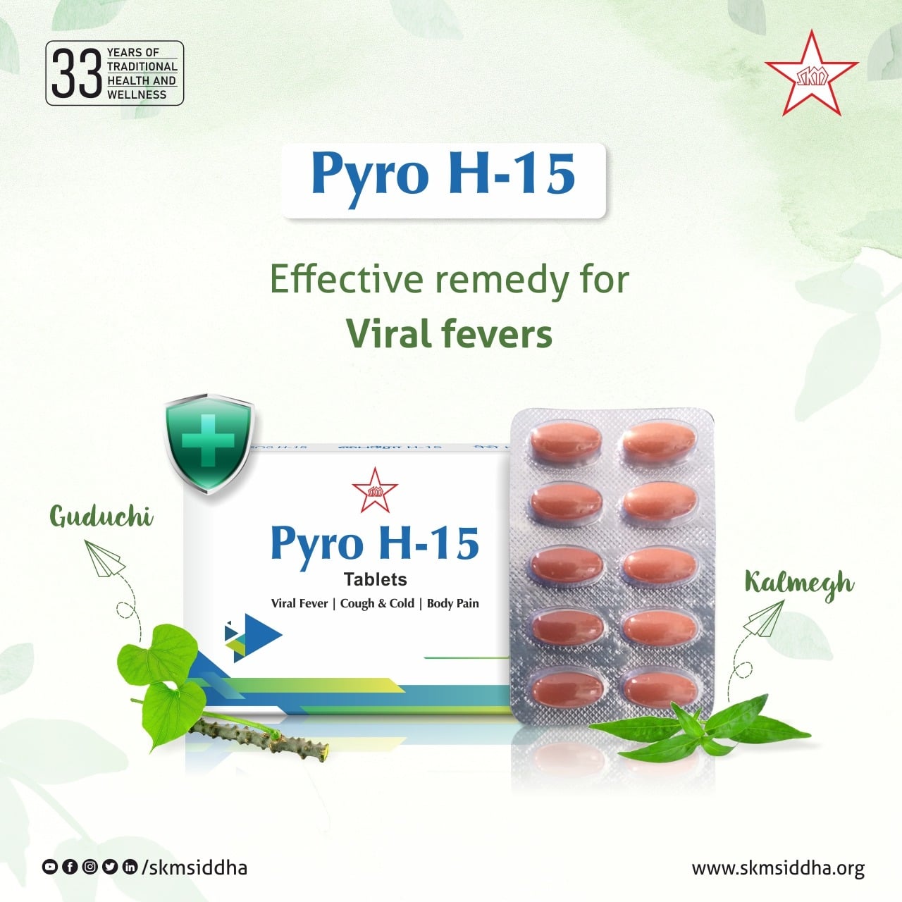 Skm Ayurveda Pyro H | Swadesiicart