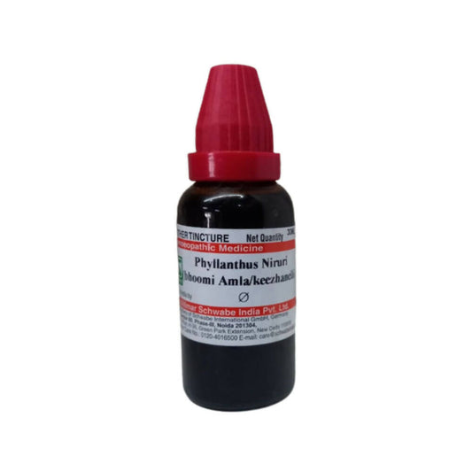 Dr. Willmar Schwabe India Phyllanthus Niruri Mother Tincture Q | Swadesiicart