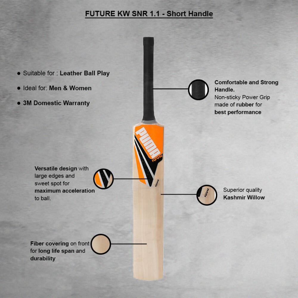 Puma Future Kashmir Willow Cricket Bat - Swadesiicart