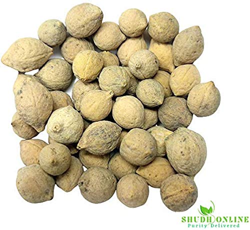 Shudh Online Putrajeevak Beej powder/Putrajivak Seeds powder | Swadesiicart