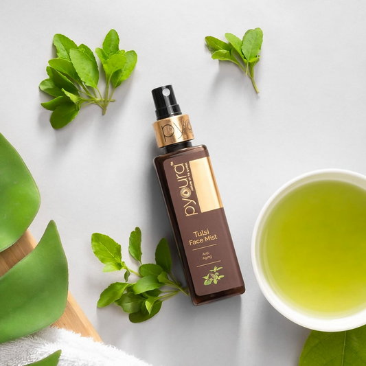 download - 2024-11-11T102359.685