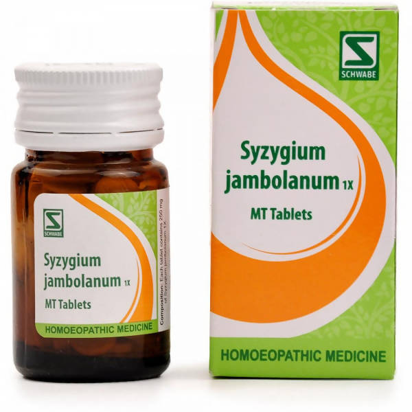 Dr. Willmar Schwabe India Syzygium Jambolanum MT Tablets | Swadesiicart