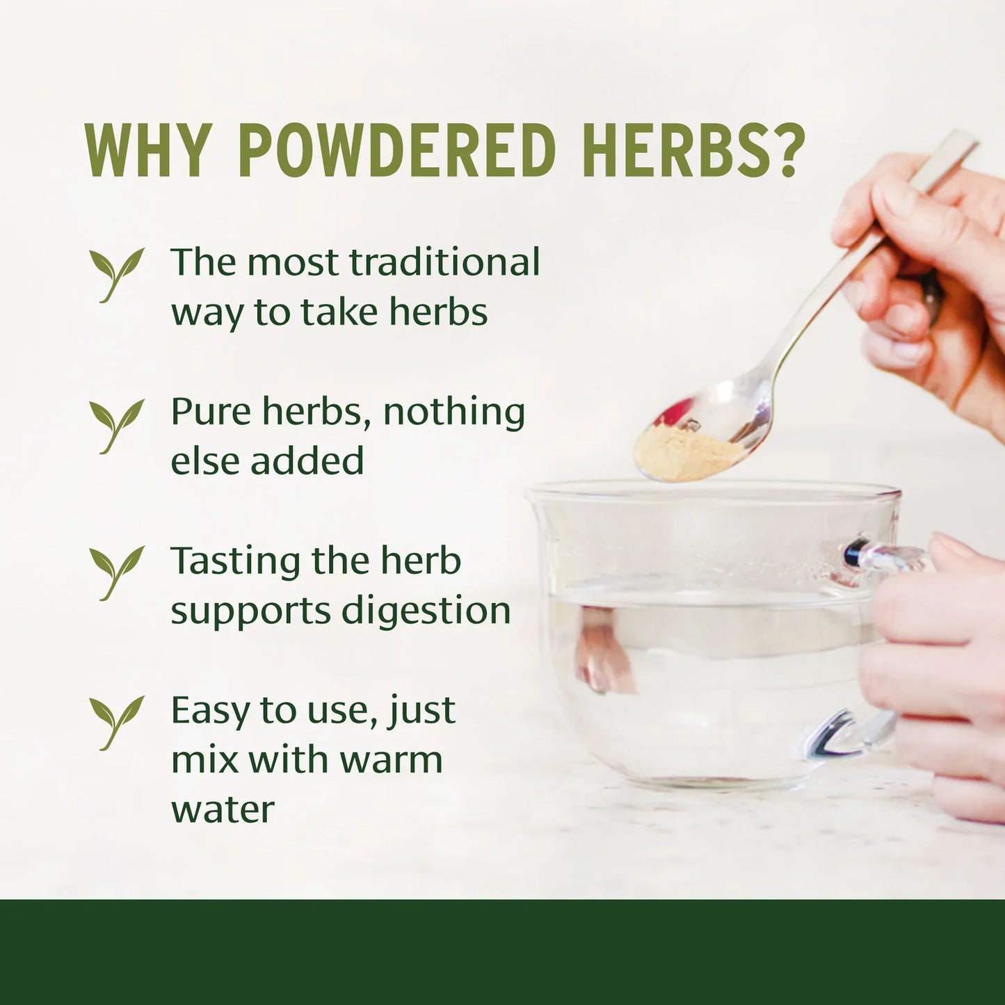 Anantamul Powder | Hemidesmus indicus | 227gm | the eternal root