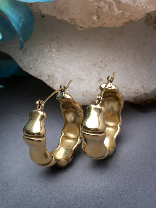 NVR Women Gold Circular Hoop Earrings | Swadesiicart