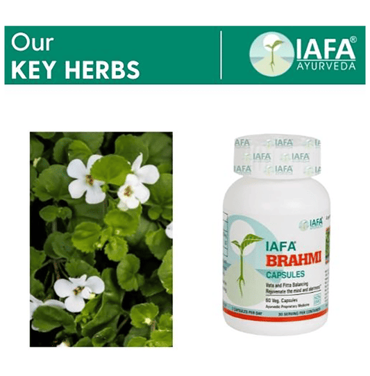 Iafa Ayuveda Brahmi Veg Capsules | Swadesiicart