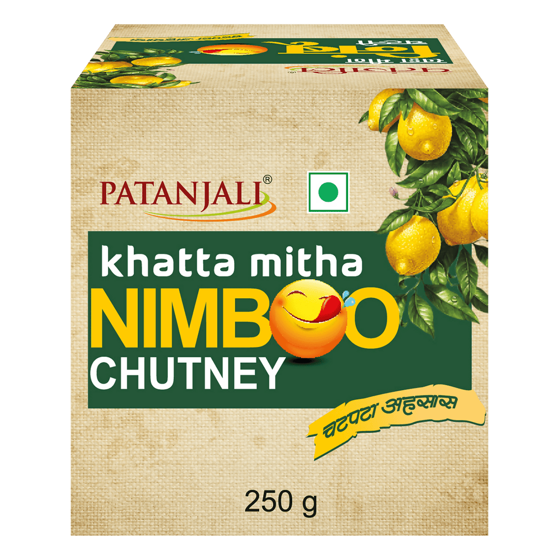 Patanjali Khatta Mitha Nimboo Chutney – A Tangy & Sweet Lemon Chutney for Everyday Meals