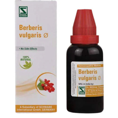 Natural Relief for Kidney Stones, Gallbladder Pain & Arthritic Joint Pain: Dr Willmar Schwabe India Berberis Vulgaris Q Review & Benefits