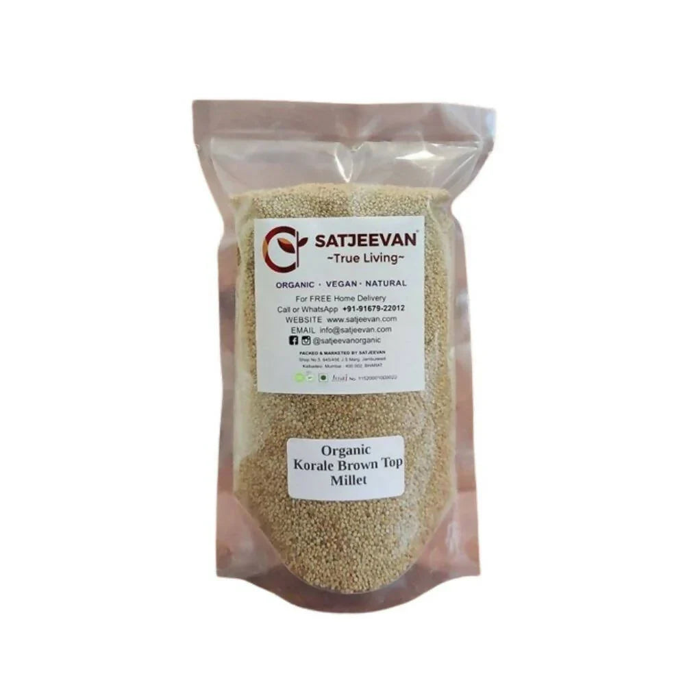 Satjeevan Organic Korale Browntop Millet – Ancient Gluten-Free Superfood for Healthy Living