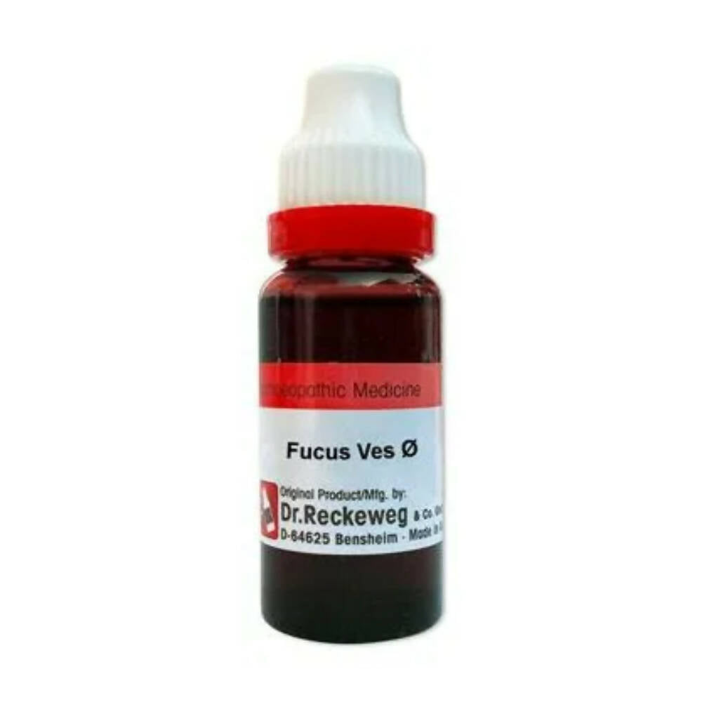 Dr. Reckeweg Fucus Vesic Mother Tincture Q: A Guide to Traditional Homeopathic Use
