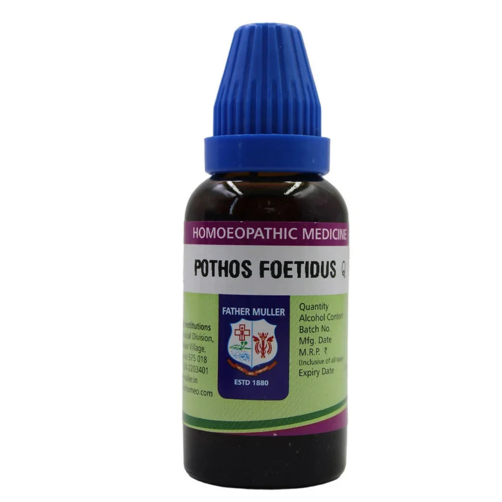 Father Muller Pothos Foetidus Mother Tincture Q: A Traditional Homeopathic Preparation for Respiratory & Skin Wellness